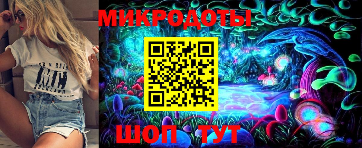 Камень-на-Оби  Псилоцибиновые грибы Psilocybe  Вход с VPN  Псилоцибиновые грибы мицелий 
